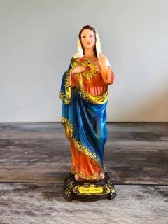 Sagrado Coração e Imaculado Coração na internet