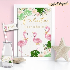 Kit Imprimible FLAMENCOS