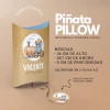 Piñata Pillow TREN ACUARELA