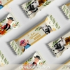 Kit Candy Bar GRANJA DE ZENON VINTAGE - comprar online