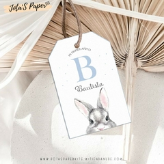 Kit Imprimible CONEJITO BEBE en internet