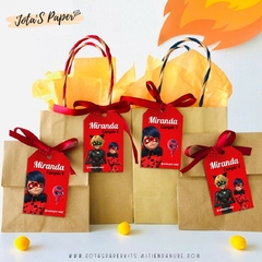 Imagen de Kit Imprimible LADYBUG