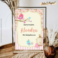 Kit Imprimible PAJARITOS SHABBY en internet