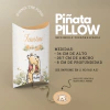 Piñata Pillow WINNIE POOH VINTAGE - comprar online