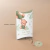 Piñata Pillow OSITO CON GLOBOS VERDE - buy online