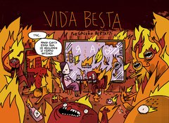 Vida Besta