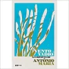 Vento Vadio - As Crônicas de Antonio Maria