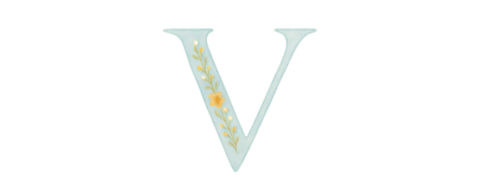 Vai de Laço
