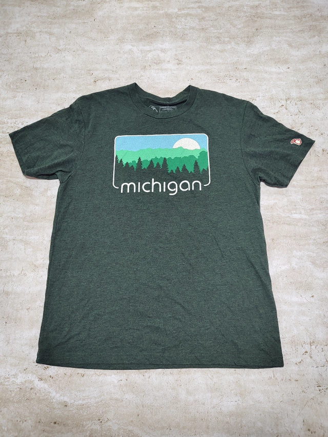Remera Americana Michigan Talle L Sku R346 * thumbnail 2