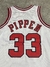 Camiseta NBA Chicago Bulls #33 Pippen SKU W319 * - CHICAGO FROGS