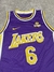 Camiseta NBA niño Los Ángeles Lakers SKU B95 + - comprar online