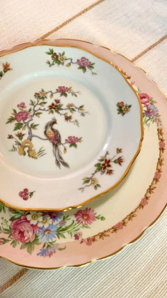 Plato de postre 20 cm porcelana francesa