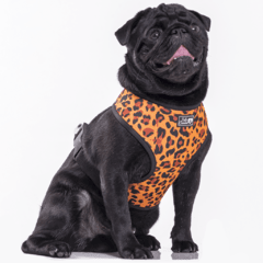 ARNES PERROS - TODO CANINO- TALLE M - TRANSPIRABLE en internet