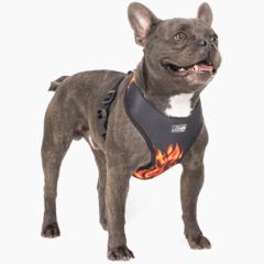ARNES PERROS - TODO CANINO- TALLE M - TRANSPIRABLE - tienda online