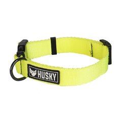 CONJUNTO HUSKY COLLAR Y CORREA FLUO