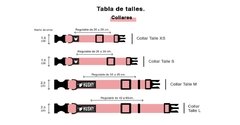 CONJUNTO HUSKY COLLAR Y CORREA IBERA - BARBINCHOS PET SHOP