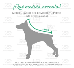 MOISES DESMONTABLE PERROS Y GATOS en internet