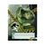 Separadores Nº 3 "Jurassic World" - Mooving - Un Mundo de Cosas