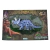 Dinosaurio Coleccionable 27 Cm The Word Of Dinosaurs - Ditoys