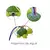 Tortuga Splashy Aspersor De Agua - Ok Baby - comprar online