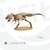 T REX . Artistica Las Perlas