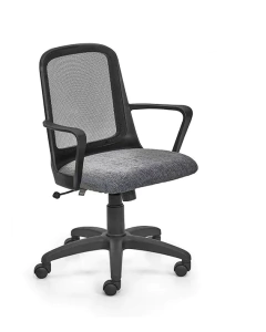 SILLA FRESA en internet