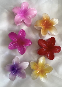 Broche Plumeria liso y degrade - comprar online
