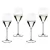 Copa Riedel Performance Champagne Set X4 Unidades 5884/28-1