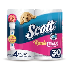 PH SCOTT DOBLE HOJA 30MTS X 4U