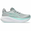 TENIS ASICS NIMBUS 27 FEMININO CINZA V