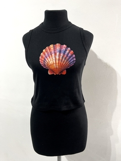 Top Shell