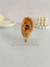 Argollas Holy acero dorado (par) - Alaris Accesorios