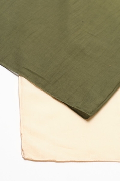 Pashmina Degradé Verde / Ver - comprar online