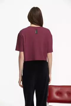 REMERA SKI ABC / Ayres - comprar online