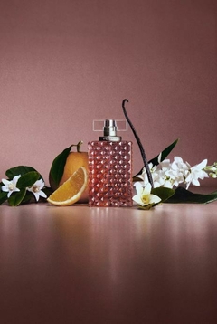Perfume Anima Edp 100 Ml | Tucci - comprar online