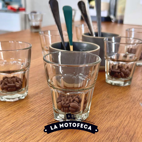 WORKSHOP SENSORIAL - comprar online