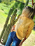 SWEATER 67653 - TRESDELSEIS