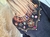 SWEATER APLIQUES 67282 en internet