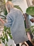 CARDIGAN 65743 en internet