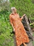 Imagen de VESTIDO CAMISERO 68257