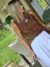 MUSCULOSA SEDA 64791