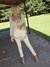BLUSA DE GASA BORDADA 62803 - tienda online