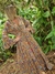 VESTIDO DE SEDA 68094 A - tienda online