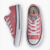 Tenis All Star CK04300051