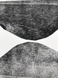 Monocopia en internet