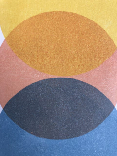 Monocopia en internet