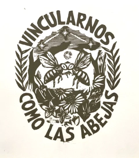 Vincularnos como las abejas