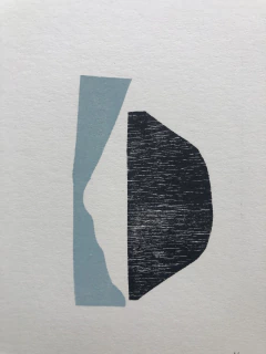 Monocopia en internet