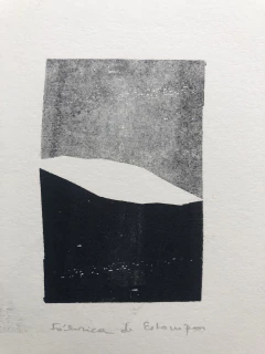 Monocopia en internet