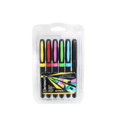 MARCADORES BIC INTENSITY x6u